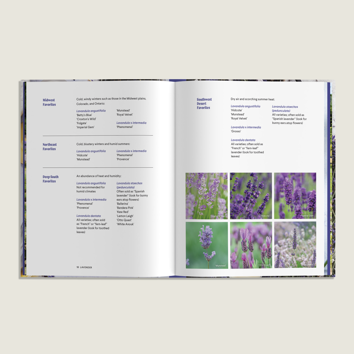 Lavender: 50 Self-Care Recipes and Projects for Wellness (Book)