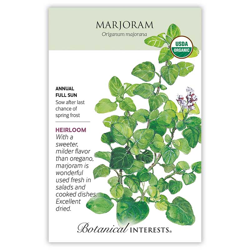 Marjoram Seeds ORG