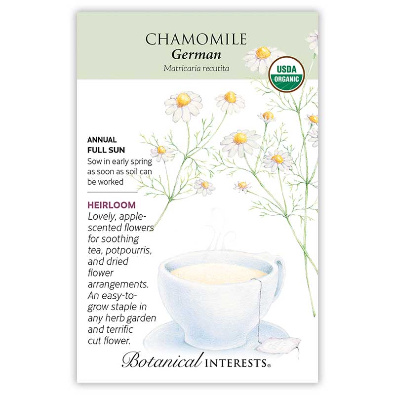 Chamomile German Org