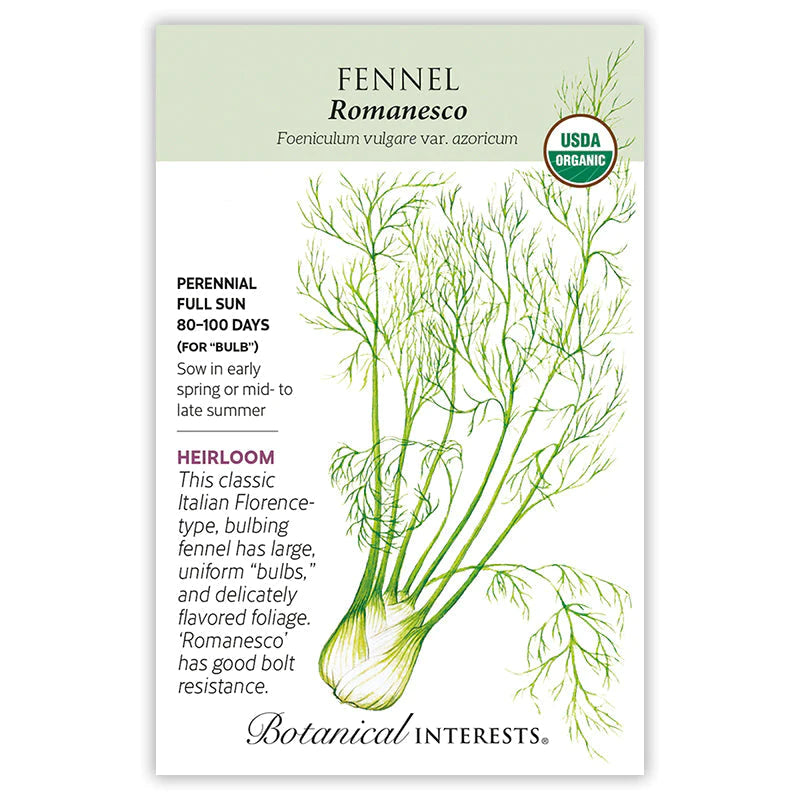 Fennel Romanesco Org