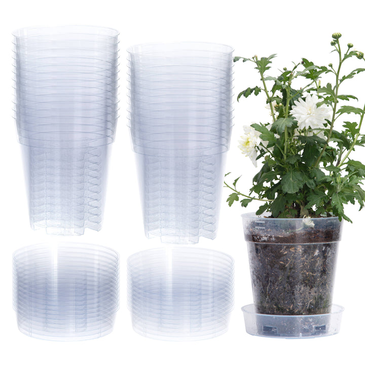 Clear Nursery Pot with an Interlocking Saucer, 6.5" X 7"