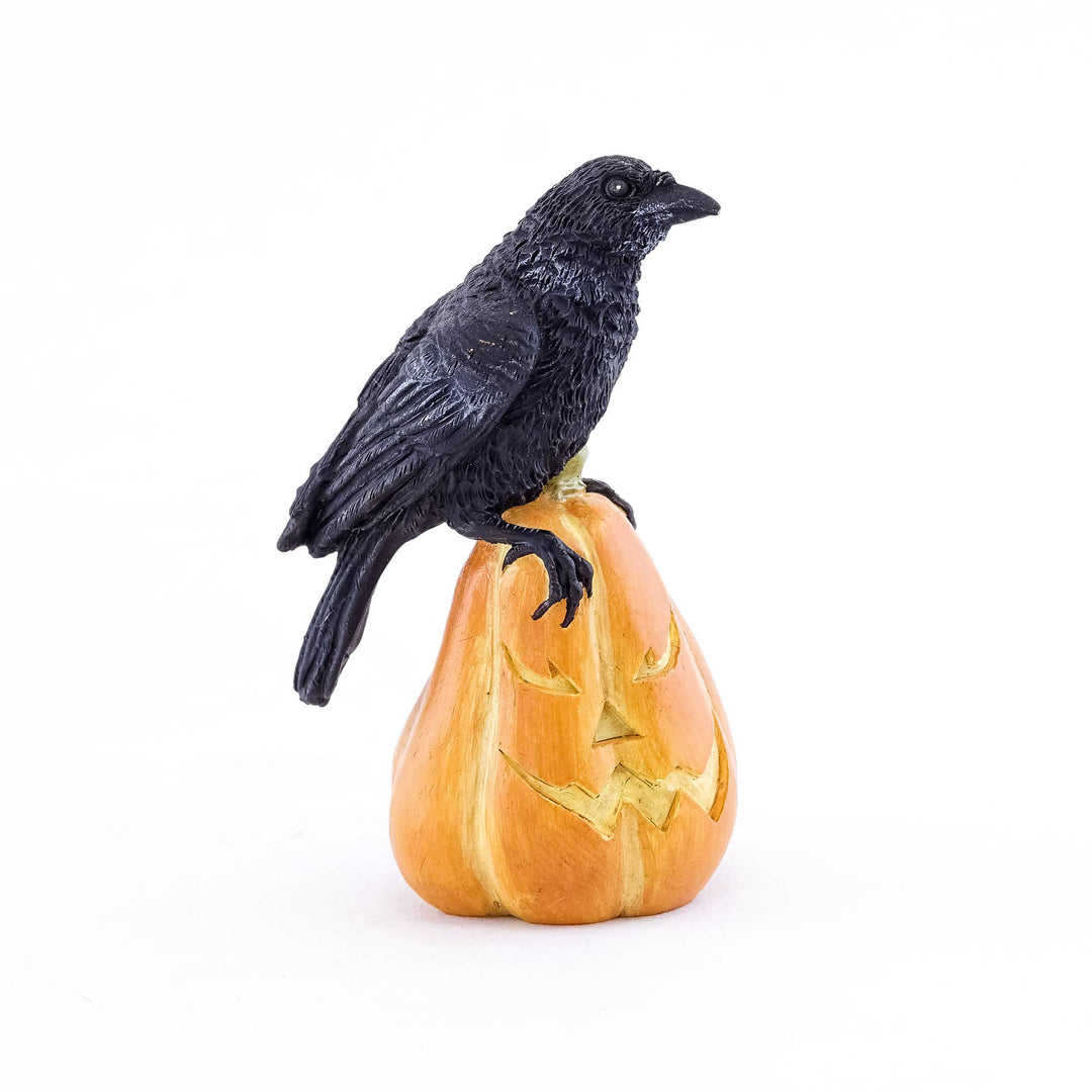 Raven on Jack O' Lantern