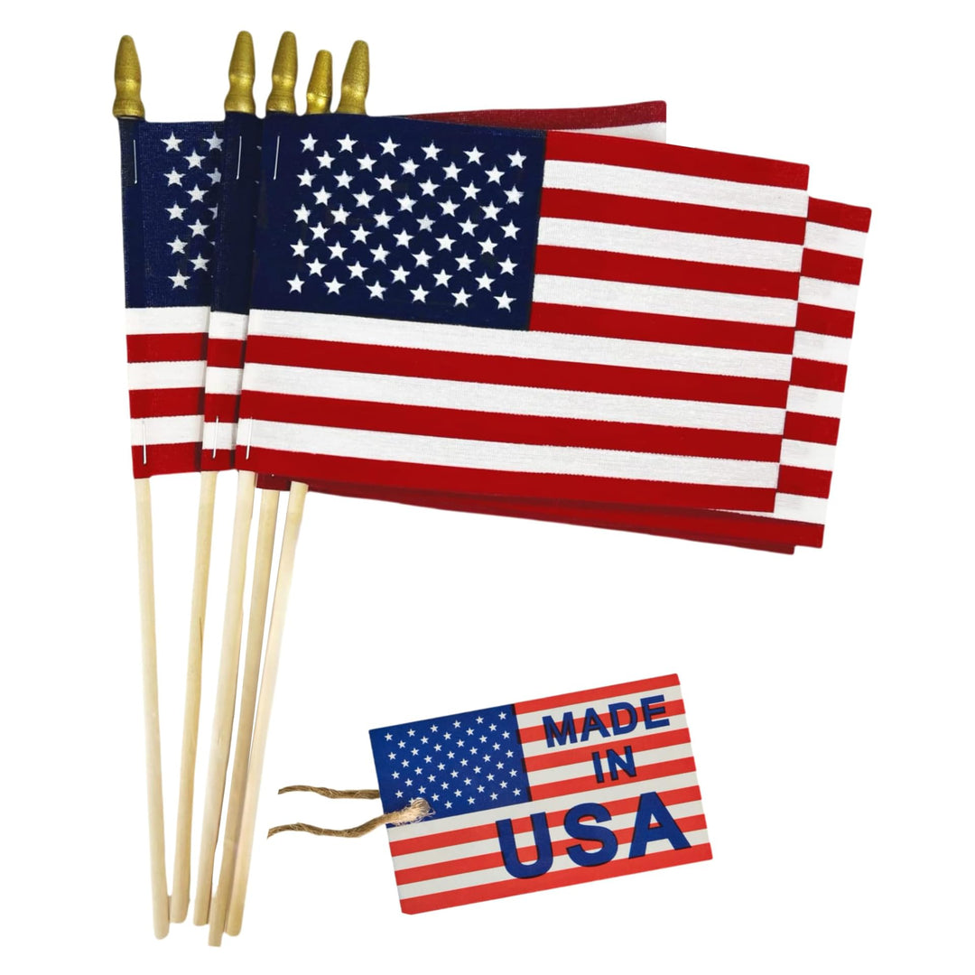 American Flag Mini