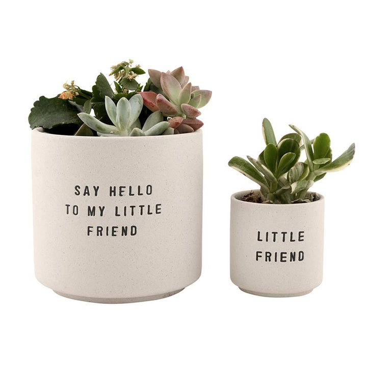Ceramic Planting Pots - Choice of 2