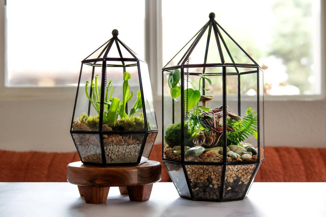 Glass Terrarium
