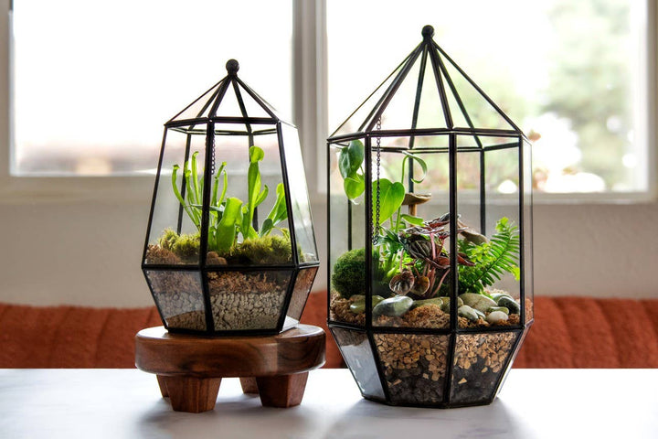 Glass Terrarium