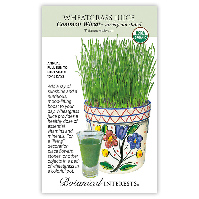 Wheatgrass Juice Common Wheat Org