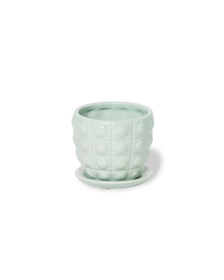 Convex Planter For Succulents And Cactus Pot With Saucer