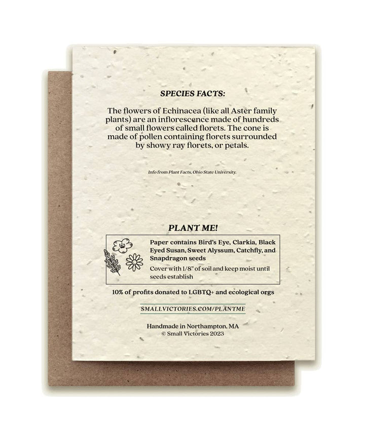 Echinacea Plantable Wildflower Seed Card