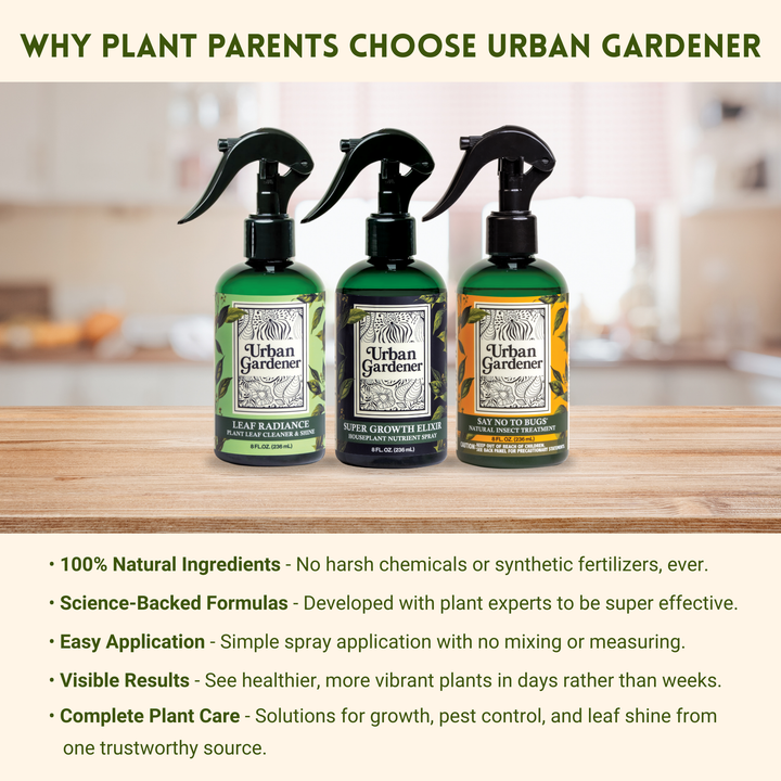Say No To Bugs - Natural Houseplant Insect Treatment