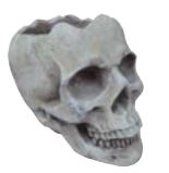 7" Cement Skull Planter