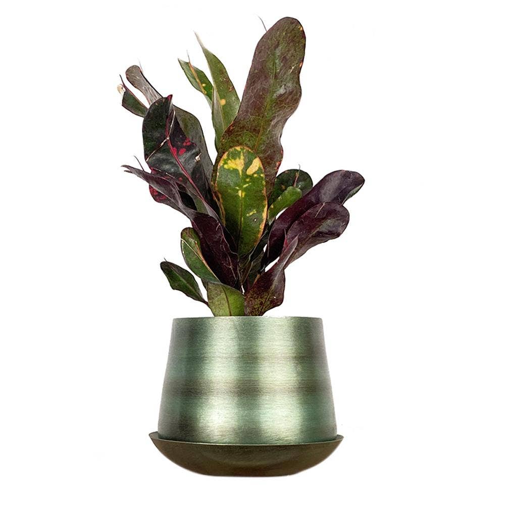 Joe Metal Flower Pots Plant Pot Decoration Bulk Kits