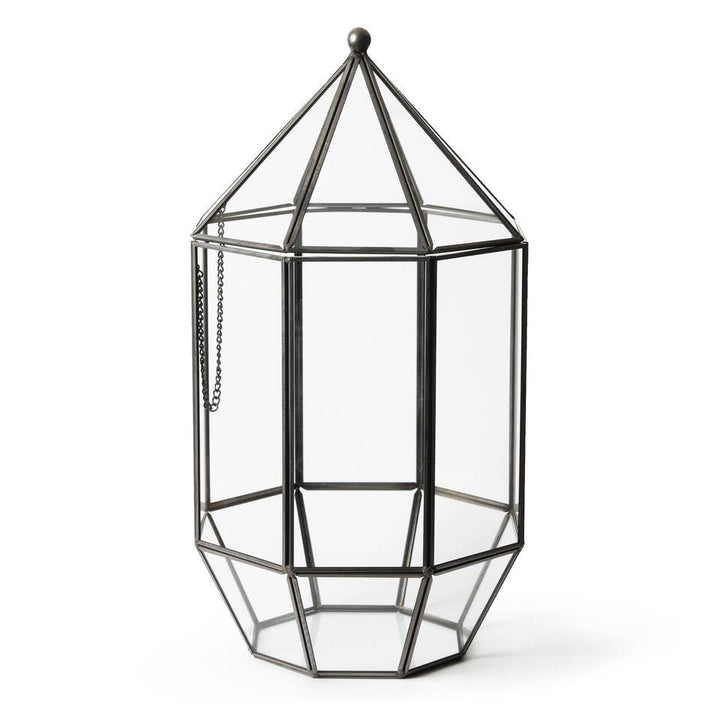 Glass Terrarium