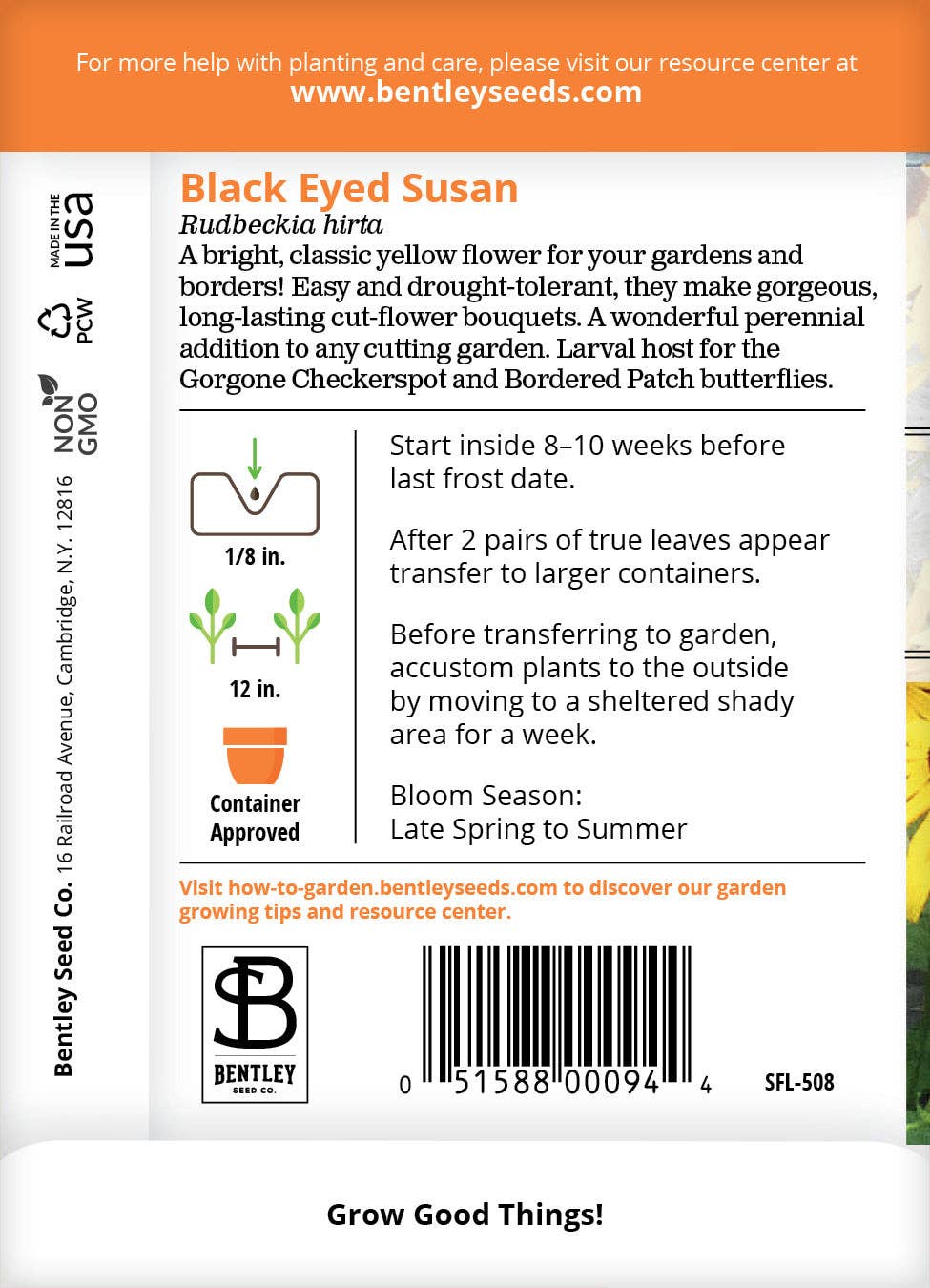 Black-Eyed Susan Seed Packets