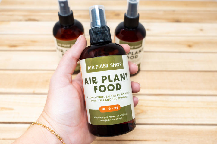 Ready-To-Use Tillandsia Air Plant Fertilizer