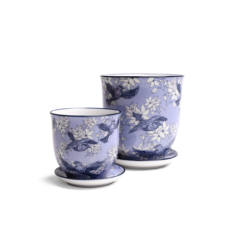 Liberte Plant Pot Decoration Orchid Pot For Potted Flowers