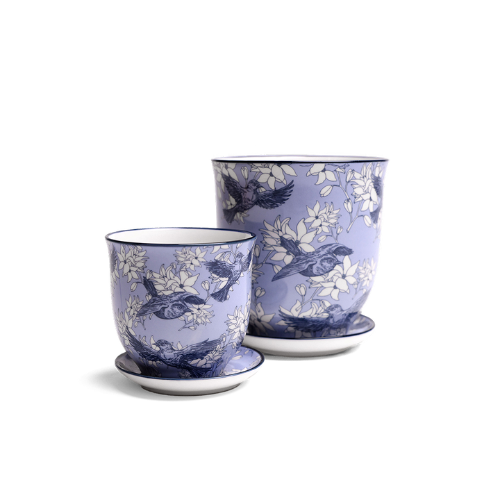 Liberte Plant Pot Decoration Orchid Pot For Potted Flowers