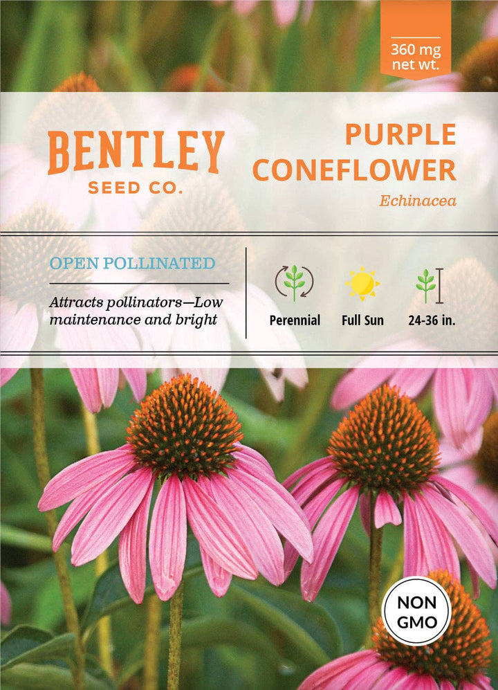 Purple Coneflower (Echinacea) Seed Packets