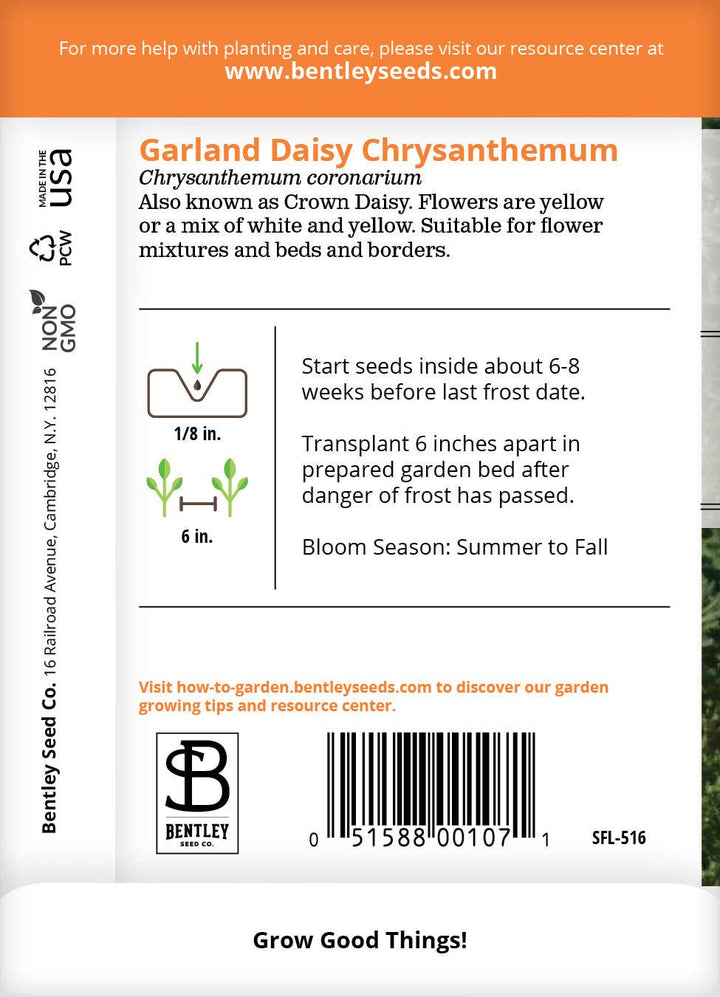 Daisy, Garland Daisy Chrysanthemum Seed Packets