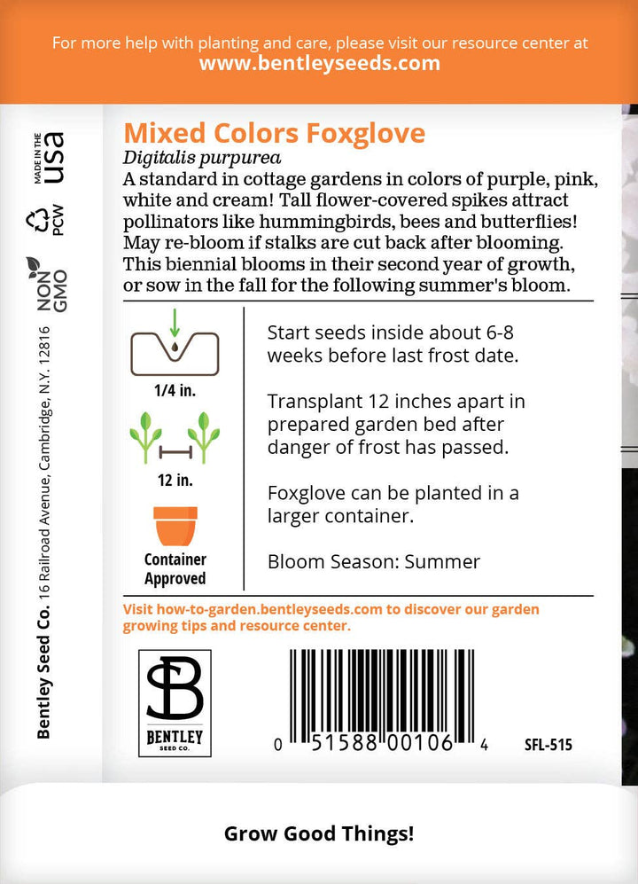 Foxglove Seed Packets