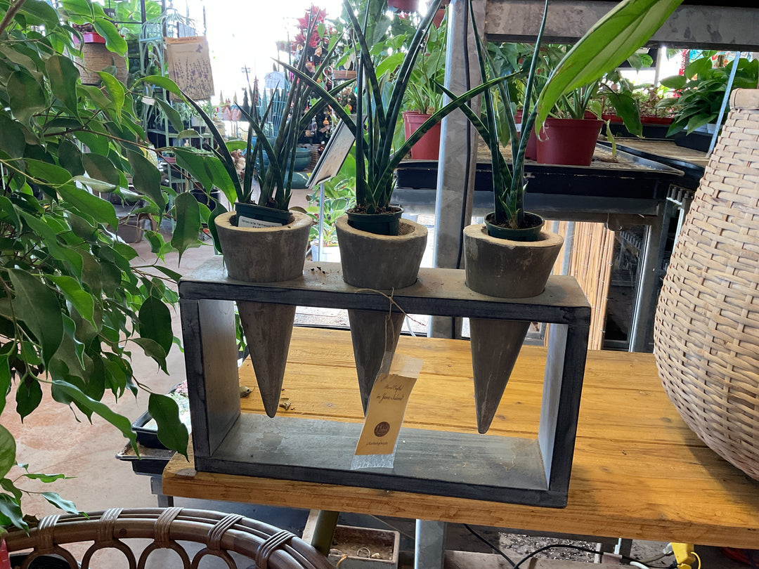 CONCRETE CONE SUCCULENT POT