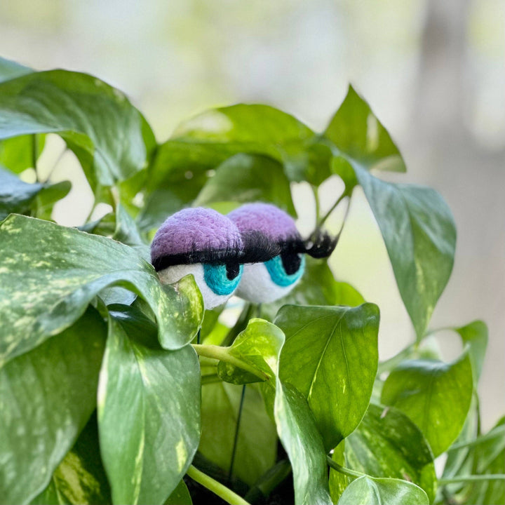 Felted Wool Planter Eyeballs with Eyelashes 