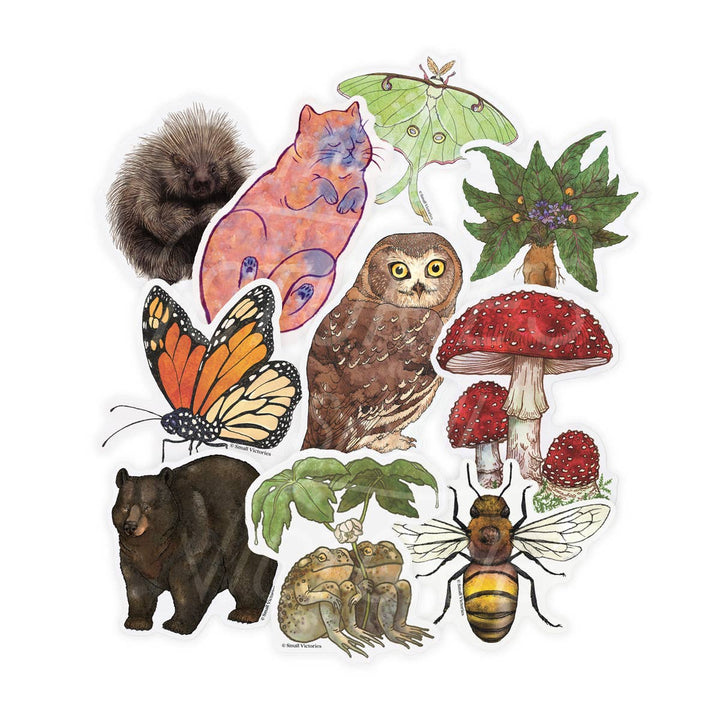 Eco-Sticker: Mandrake