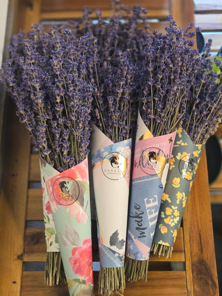 Lavender Posy Bouquet - Farm-Grown Dried Lavender