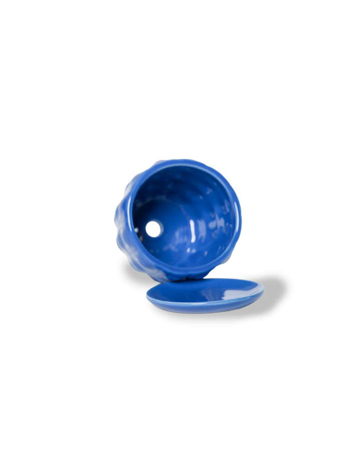 Convex Planter For Succulents And Cactus Pot With Saucer