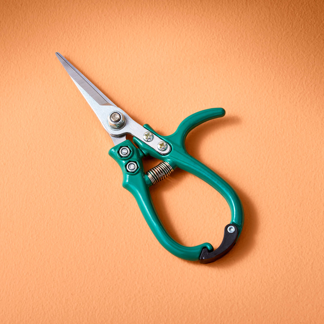 Garden Shears  - New Colors!