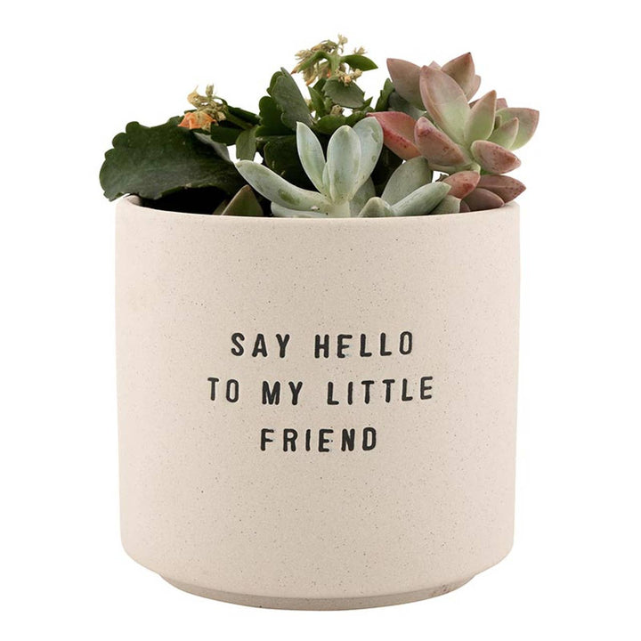 Ceramic Planting Pots - Choice of 2