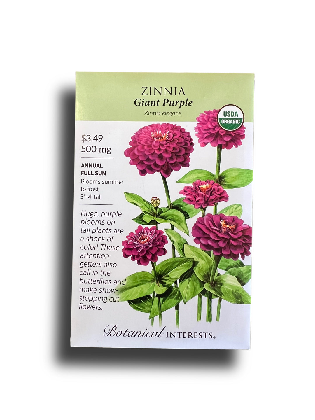 Zinnia Giant Purple
