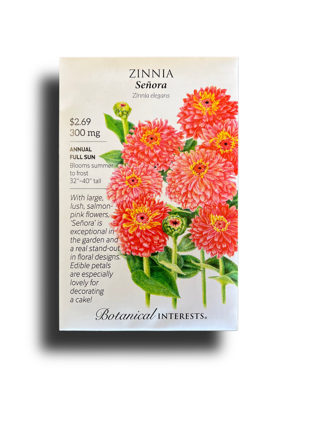 Zinnia Senora