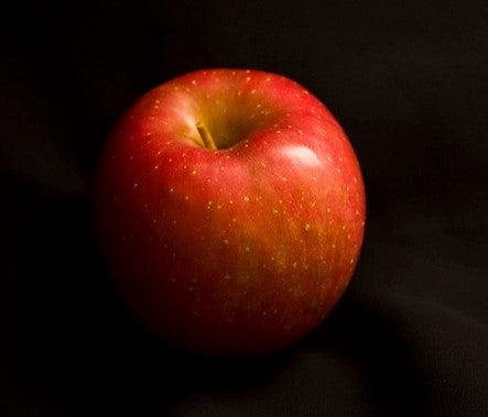 Apple Tree