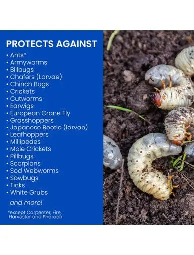 24 Hour Grub Killer Plus Granules