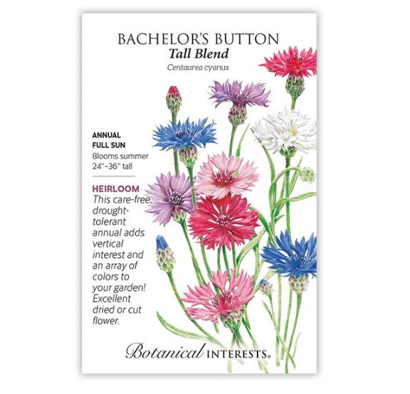 Tall Blend Bachelor's Button Seeds