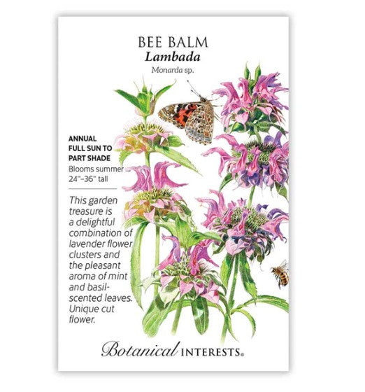 Lambada Bee Balm Seeds