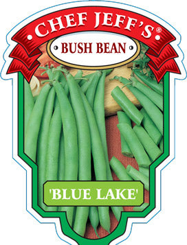 4" Chef Jeff's Bush Bean Blue Lake
