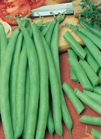 4" Chef Jeff's Bush Bean Blue Lake