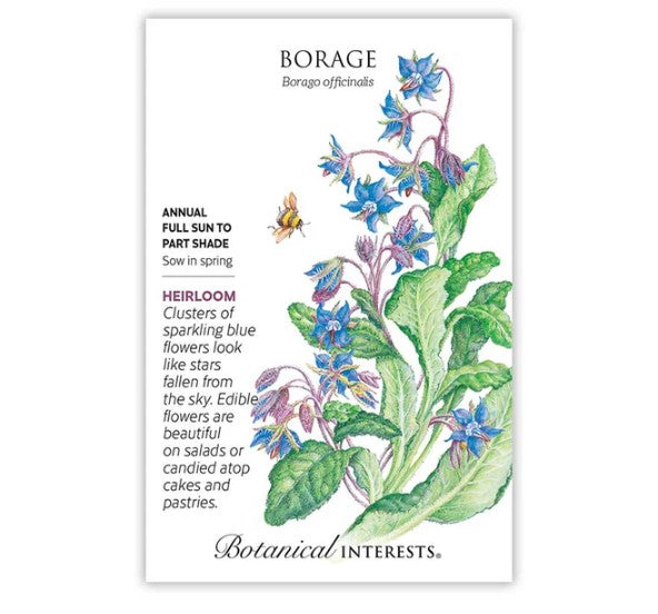 Borage Seeds