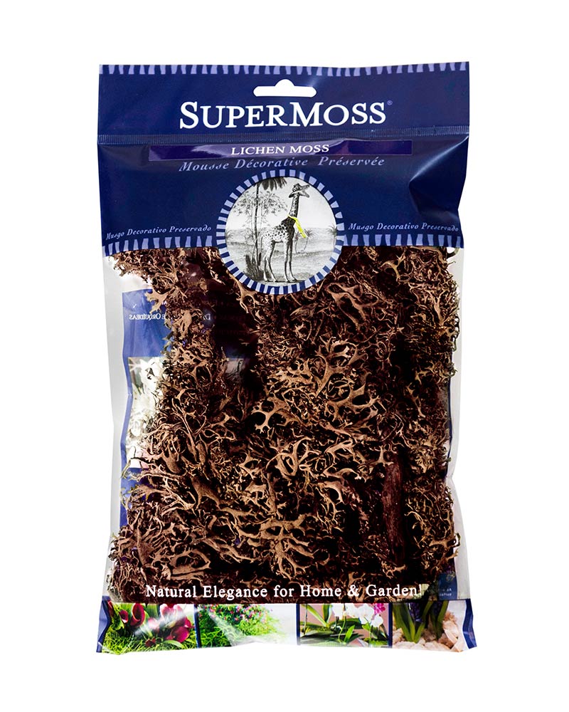 Super Moss Preserved Moss - Dark Brown Lichen