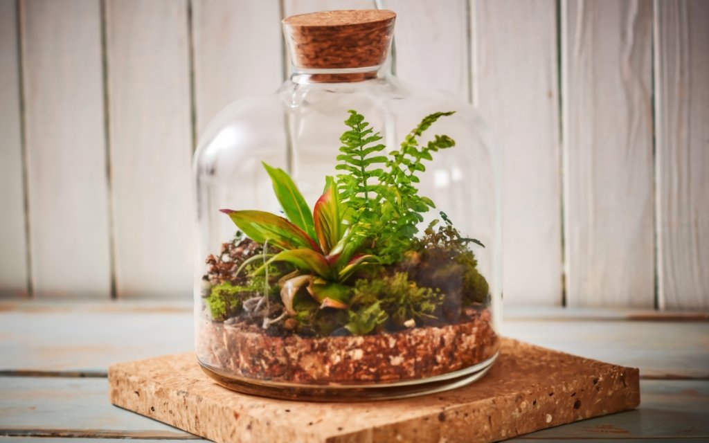 Botanical Bar Terrarium Time