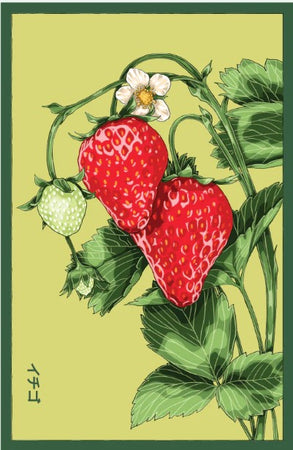 sweet kiss strawberry seeds Basket Kisses Strawberry Seeds Packet