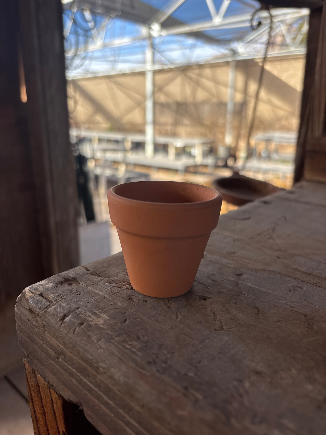 1.9 in” terracotta pot