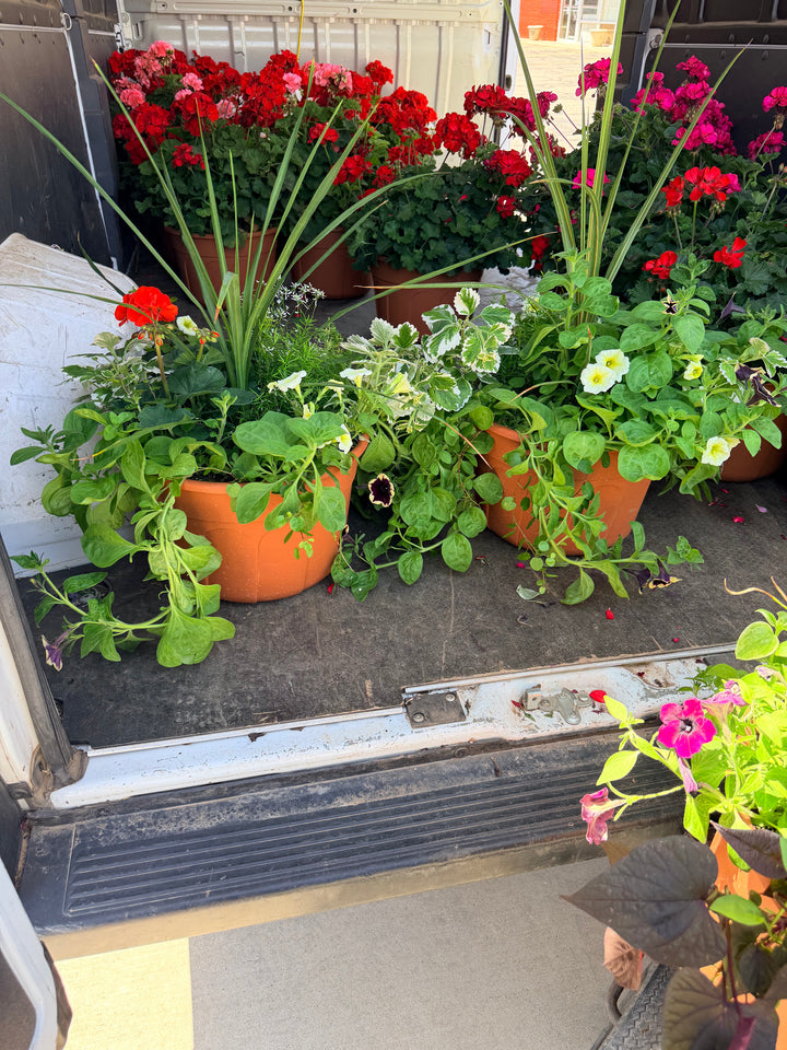 Mixed Color Pot 14"