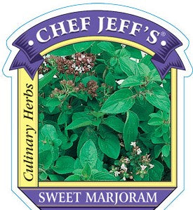 4" Chef Jeff's Sweet Marjoram