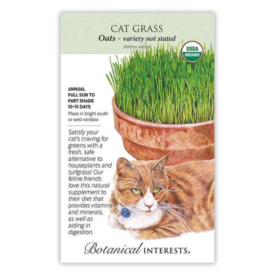 Cat Grass Seeds