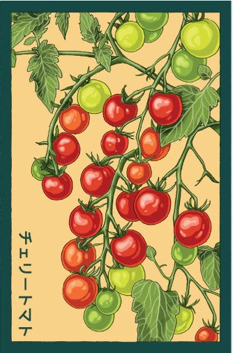 Cherry Tomato Veg. Seeds Pkt