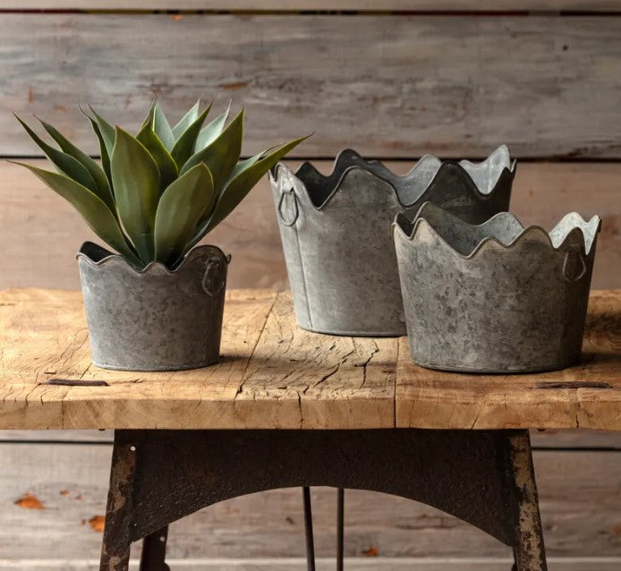 Corona Metal Planters