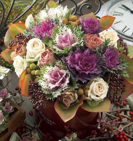 Ornamental Cabbage and Kale GROWN IN LUBBOCK